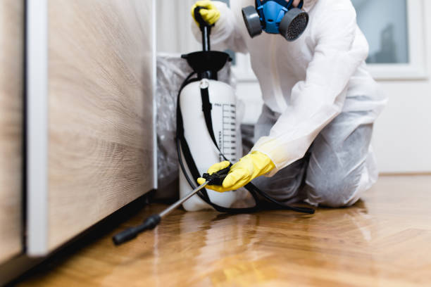 Best Mosquito Control Services  in Eagle, ID