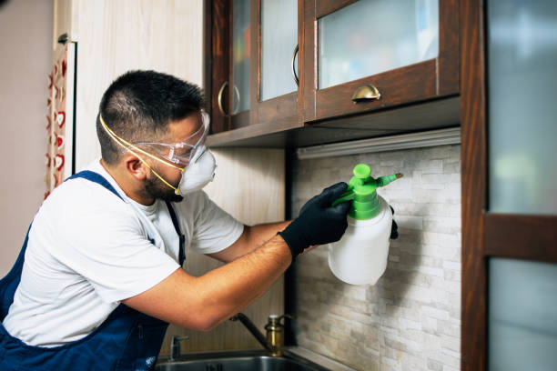 Best Residential Pest Control  in Eagle, ID