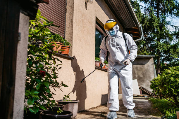 Best Best Pest Control Companies  in Eagle, ID