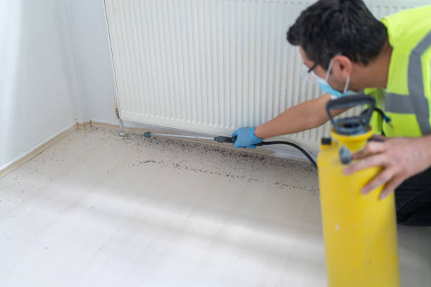 Professional Pest Control in Eagle, ID